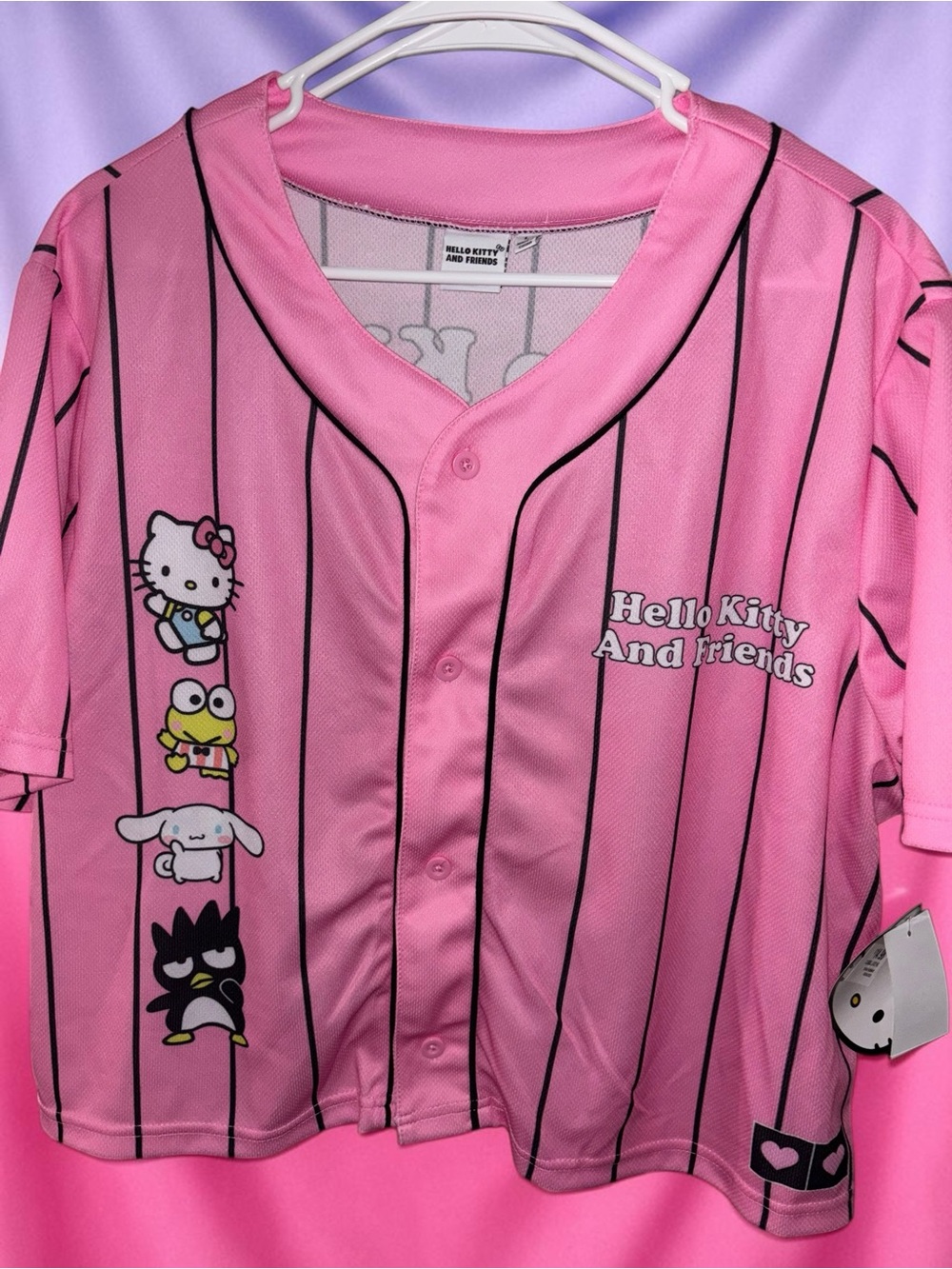 Hello Kitty & Friends Pink Baseball Jersey-Medium